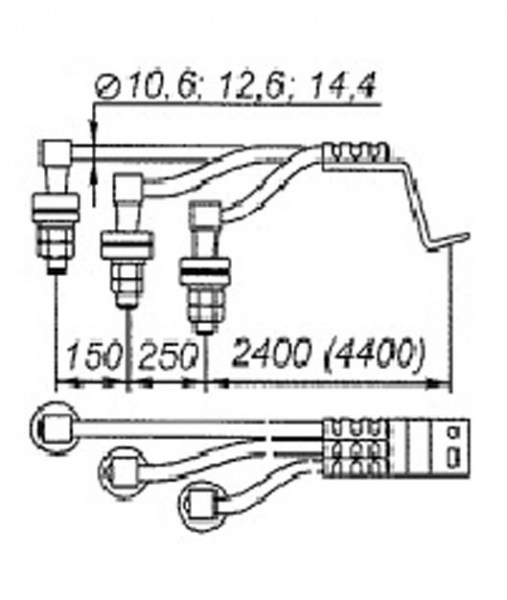 2323